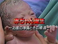 069 赤ちゃん誕生（平成２年）